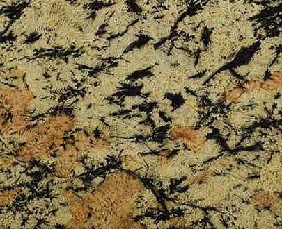 Alaska Rosa granite exporter india