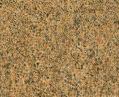 Camel brown granite exporter from india