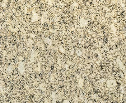 ivory fantasy granite supplier from india