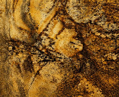 Magnum gold granite exporter from India